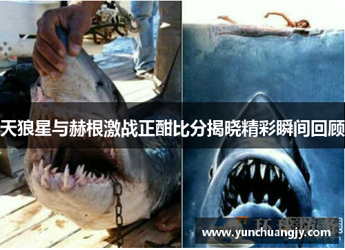 天狼星与赫根激战正酣比分揭晓精彩瞬间回顾