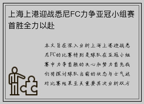 上海上港迎战悉尼FC力争亚冠小组赛首胜全力以赴